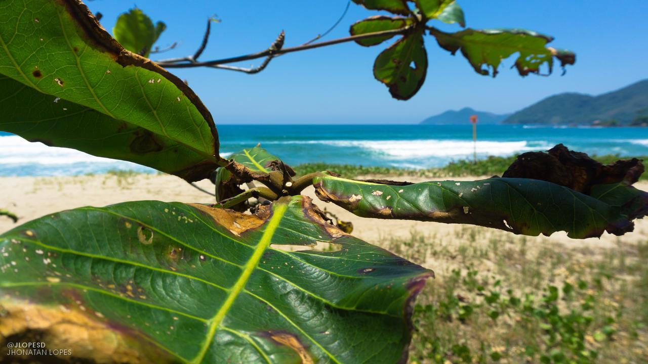 Verde Hostel Ilhabela Albergue Ilhabela